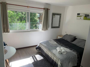Comodo Departamento en Pucon